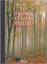 Les sous-bois et leurs mystères